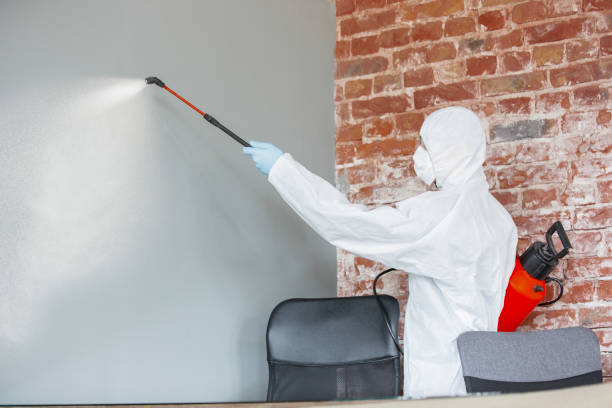 Best Real Estate Mold Inspection  in Quinnesec, MI