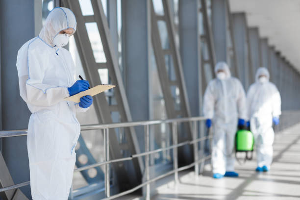 Best Post-Construction Mold Inspection  in Quinnesec, MI