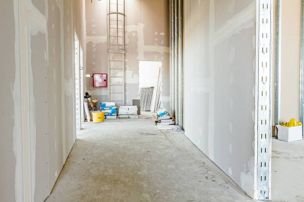 Environmental Consulting for Mold Prevention in Quinnesec, MI